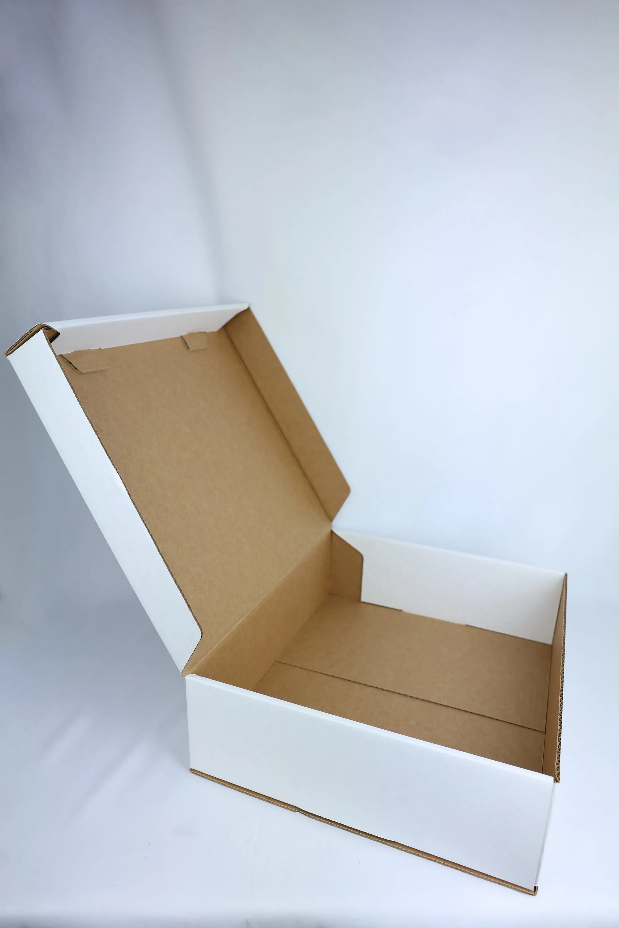 PMS (14.5x9.25x4.75) Box