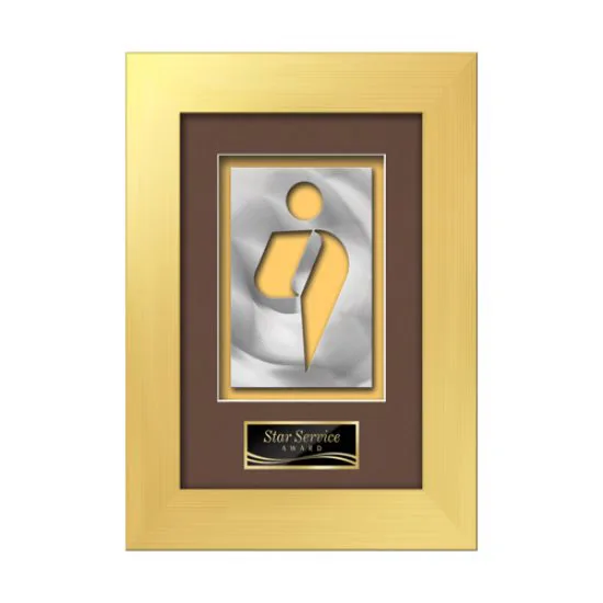 Premier Aquashape™ Award - Gold
