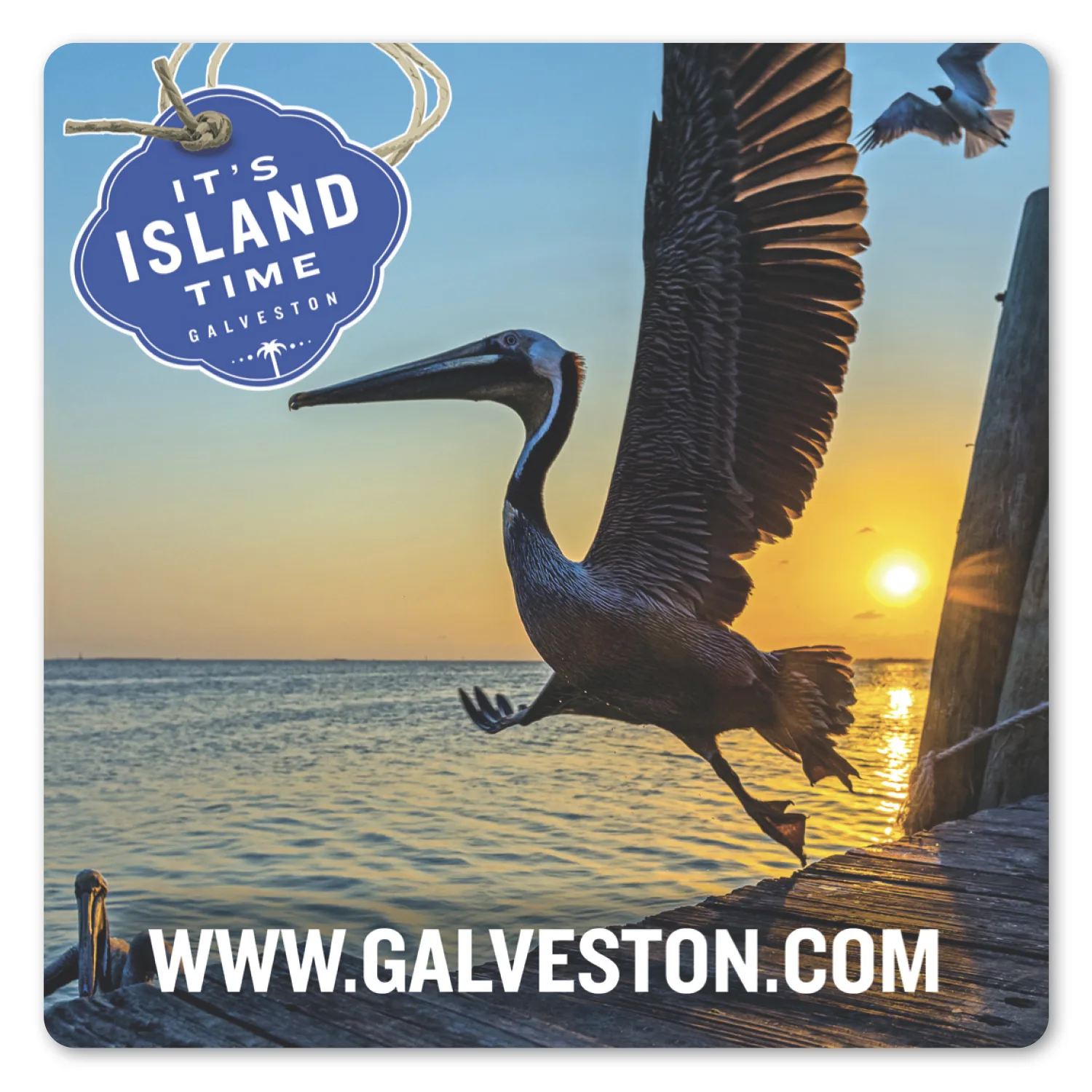 4 X 4" SQ Repositionable Label