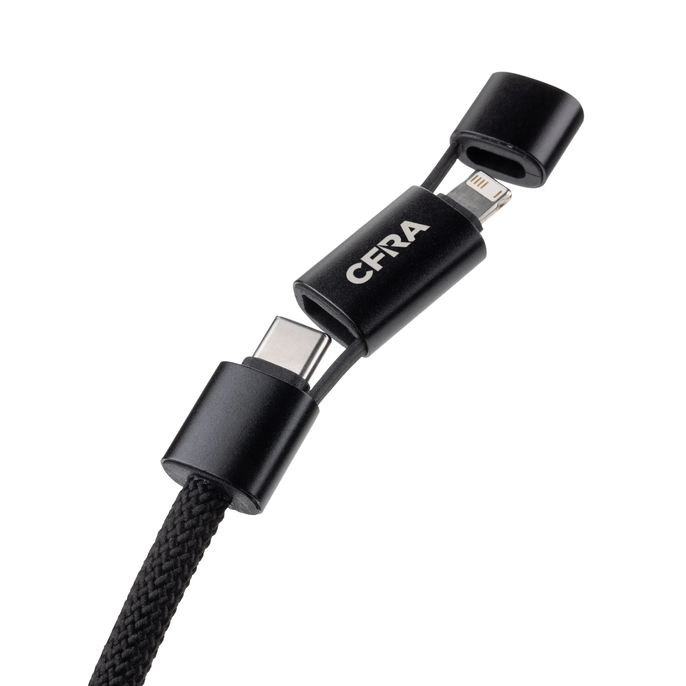 Multi-connector Cable