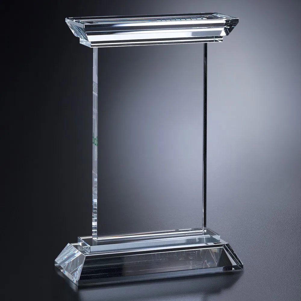 Chatfield Award 9" view 2