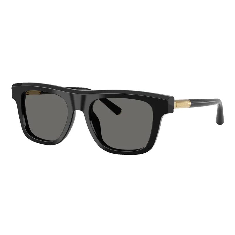 Dolce & Gabbana DG4521 Sunglasses
