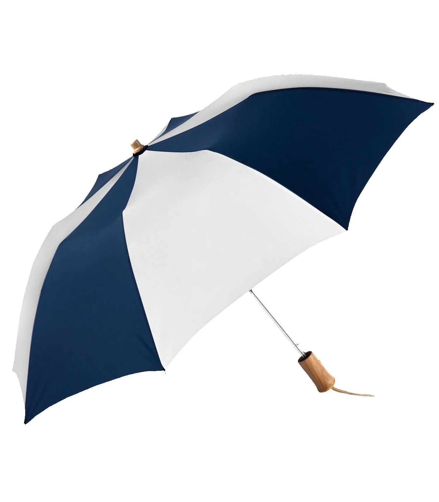 The Executive Umbrella view 2