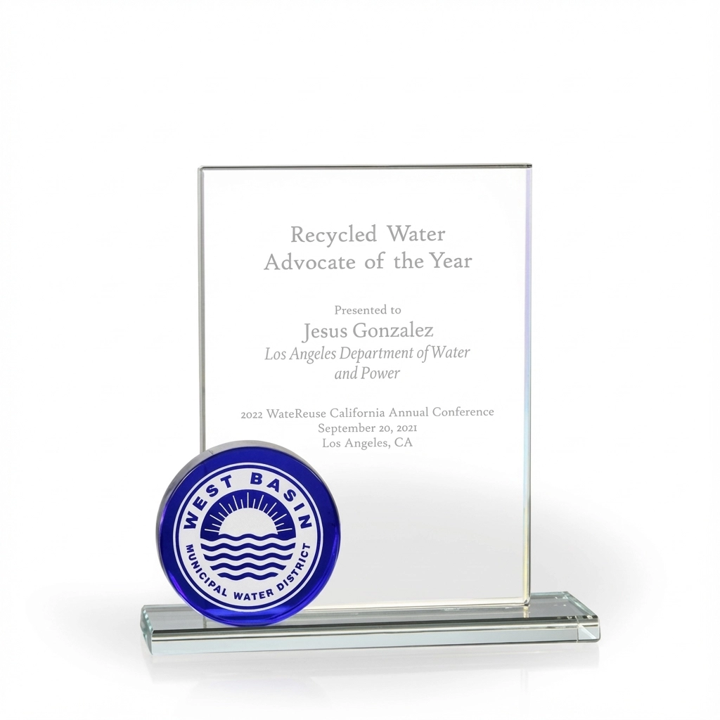 Verve Blue Circle Glass Award