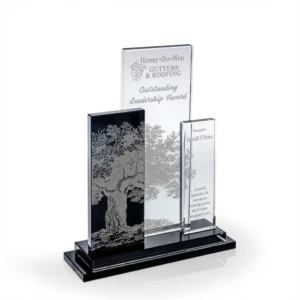 Mirador Clear Crystal Award