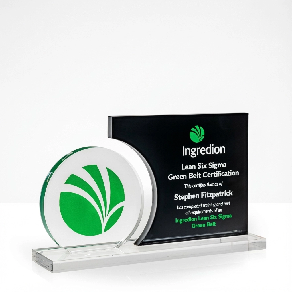 Taylor Circle Acrylic Award