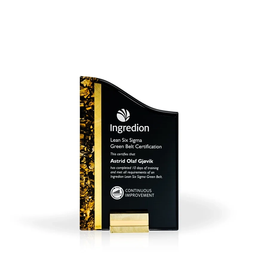 gold-rush-acrylic-award_1