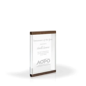 Hazel Acrylic and Wood Award