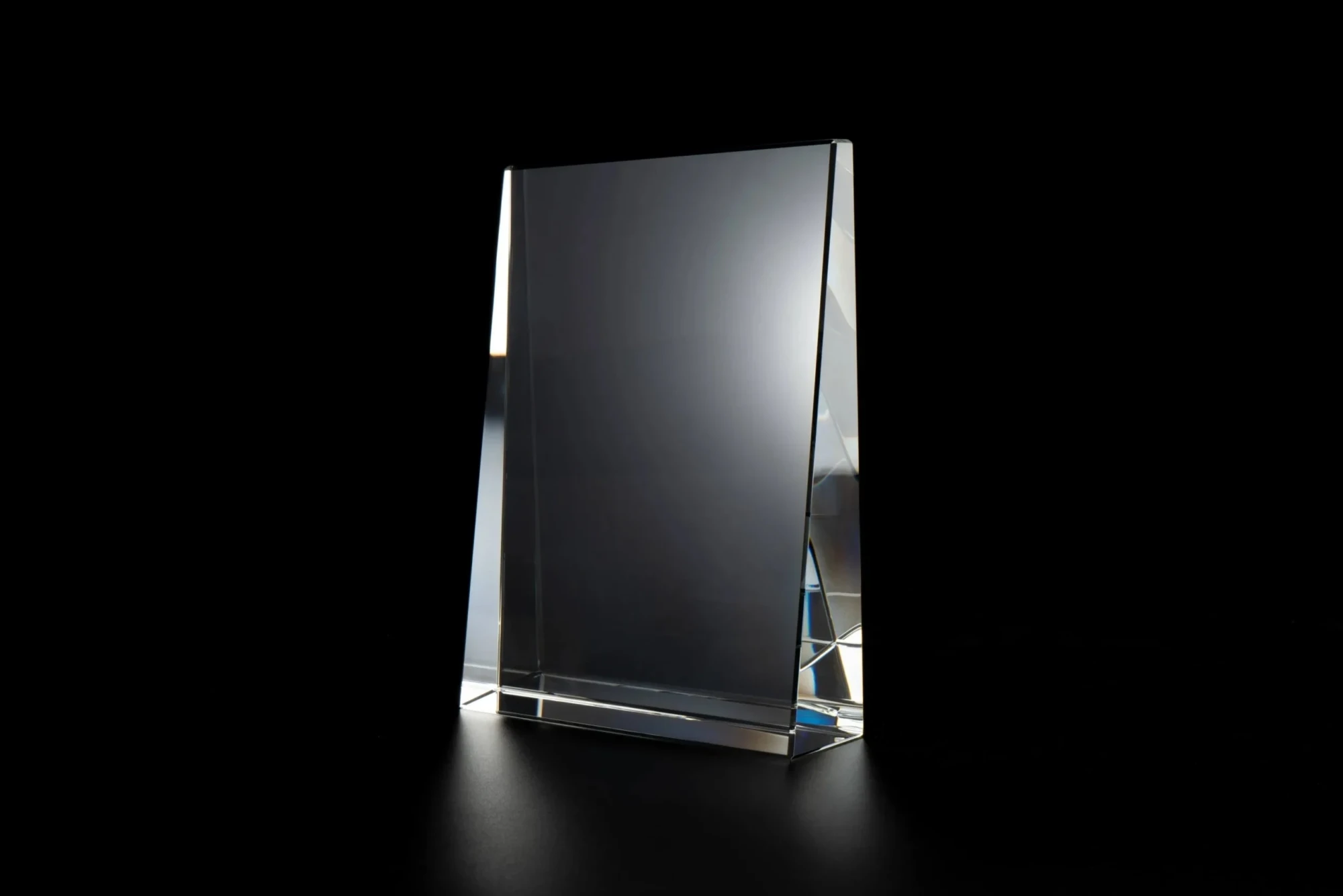 Marley Award (8"x6"x1.3")